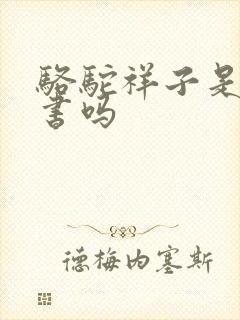 骆驼祥子是一本书吗