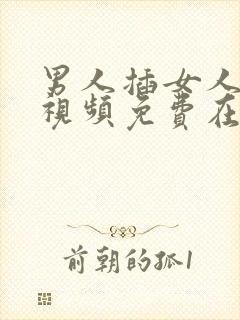 男人插女人下面视频免费在线观看