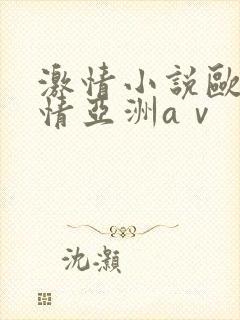 激情小说欧美激情亚洲aⅴ