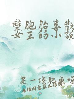 双胞胎喜欢一个女主的小说