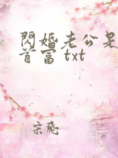 闪婚老公是千亿首富 txt