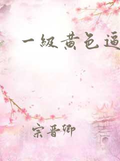 一级黄色逼片