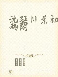 沈延川叶初棠笔趣阁