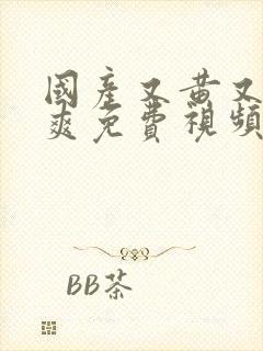 国产又黄又湿又爽免费视频