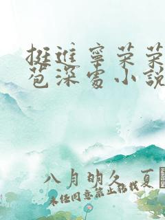 挺进宁荣荣的花苞深处小说