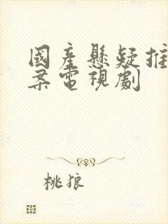 国产悬疑推理破案电视剧