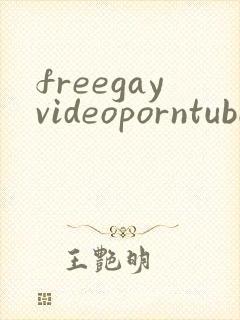 freegayvideoporntube