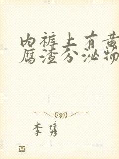 内裤上有黄色豆腐渣分泌物