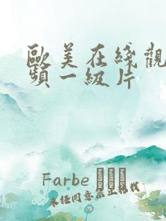 欧美在线观看视频一级片