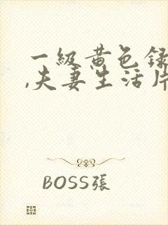 一级黄色录像片,夫妻生活片