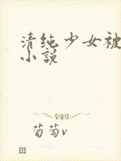清纯少女被调教小说