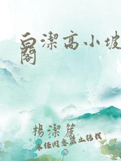 白洁高小坡笔趣阁