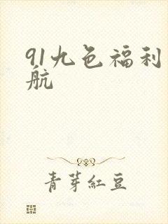 91九色福利导航