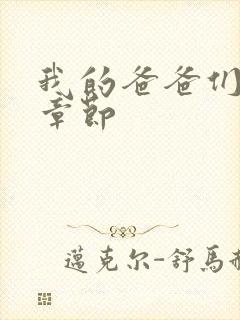 我的爸爸们小说章节