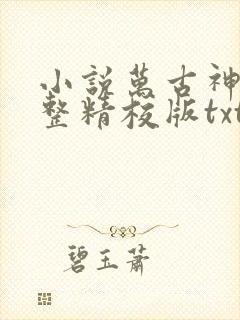 小说万古神帝完整精校版txt