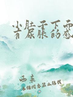 小肚子下面好像有尿胀的感觉