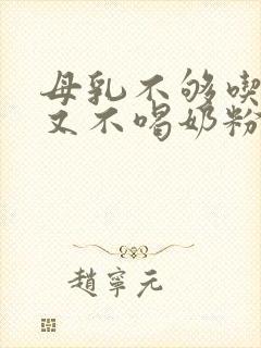 母乳不够吃宝宝又不喝奶粉怎么办