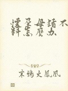 怀孕母猪不爱吃料怎么办