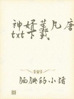神婿叶凡唐若雪txt下载