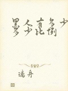 黑人有多少人占多少比例