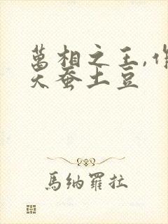 万相之王,作者天蚕土豆