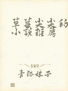 草莓尖尖的甜文小说推荐