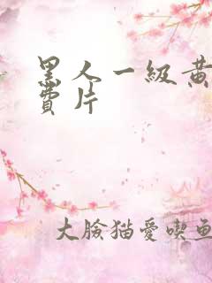 黑人一级黄色免费片