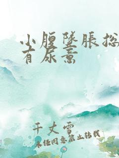 小腹坠胀总感觉有尿意