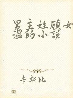 男主姓顾女主姓温的小说