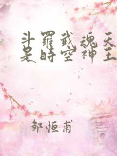 斗罗武魂天使我是时空神王