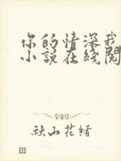 你的情深我不配小说在线阅读