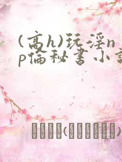 (高h)玩淫np伦秘书小说