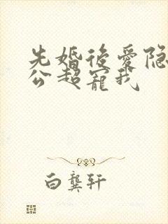 先婚后爱隐婚老公超宠我