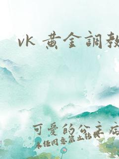 vk 黄金调教