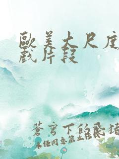 欧美大尺度激情戏片段