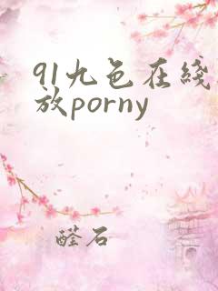 91九色在线播放porny