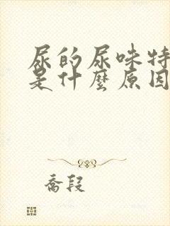 尿的尿味特别大是什么原因