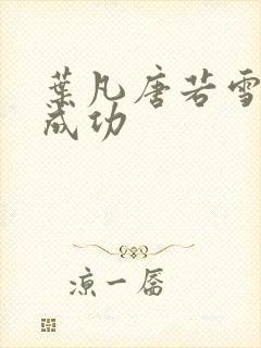 叶凡唐若雪一起成功