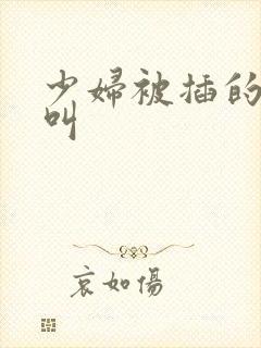 少妇被插的嗷嗷叫