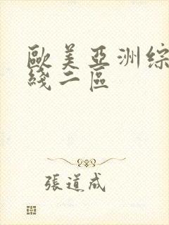 欧美亚洲综合在线二区