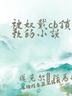 被奴戴cb锁调教的小说