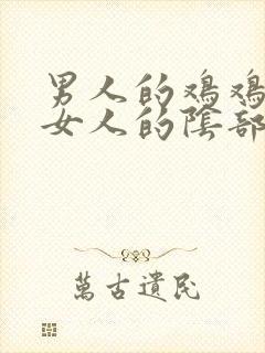 男人的鸡鸡插进女人的阴部