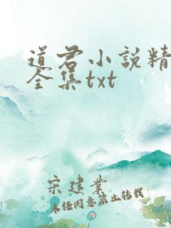 道君小说精校版全集txt