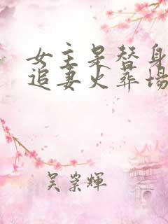 女主是替身男主追妻火葬场