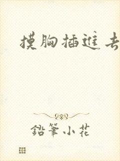 摸胸插进去视频