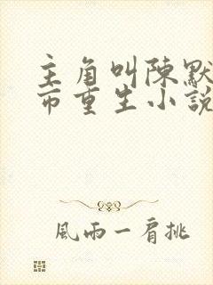 主角叫陈默的都市重生小说