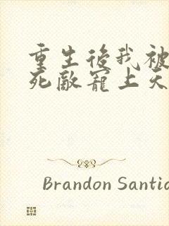 重生后我被渣男死敌宠上天短剧