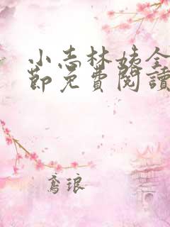 小志林姨全部章节免费阅读