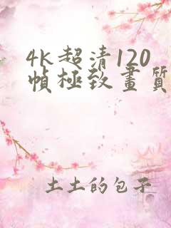 4k超清120帧极致画质下载