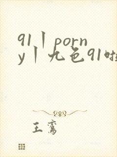91丨porny丨九色91啦